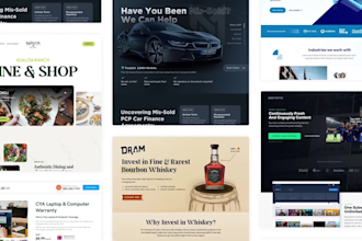 create or fix your webflow portfolio website within 24 hours