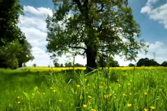 do professional video editing and photo editing
