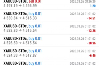 forex gold ea bot trading ea robot xauusd bot gold scalping ea robot forex robot