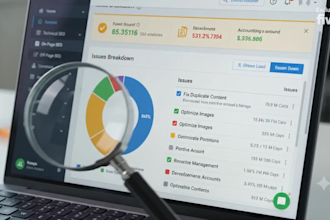 do provide website seo audit report, site analysis