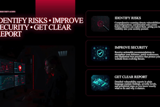 perform website security audit and cybersecurity analysis