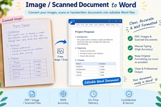 convert PDF or image to word with accurate typing
