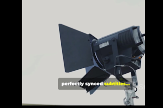 professionally add subtitles to your videos