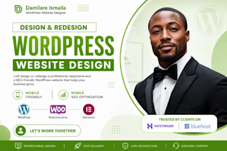 create a professional wordpress website design on hostinger or bluehost