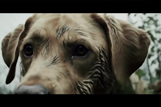 ai video veo3 voe 3 seedance 2 0 google veo 3 ai movie trailer sora2