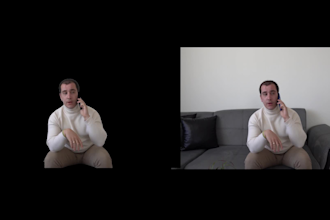 do professional rotoscopy and green screen removal of video