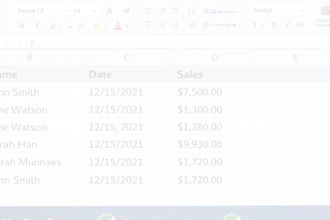 clean and standardize excel or CSV business data