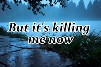 create professional synced lyrics videos for youtube and music artists