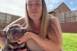 create converting ugc for your pet brand with my bulldogs
