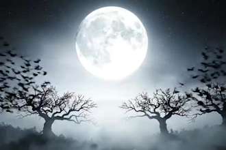 create christmas halloween video, ai video ads, horror intro and animations