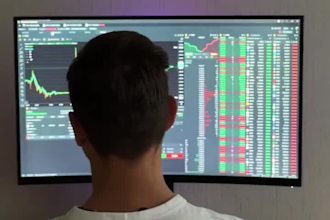 do professional stock market analysis, technical and fundamental research