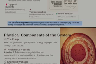 design professional academic presentations  for your thesis