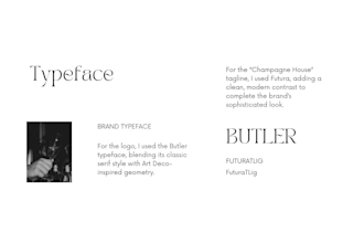 create logo and brand guidelines