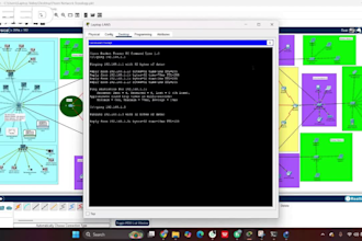 design, configure, and troubleshoot network simulations