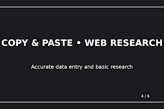 do accurate data entry typing copy paste and web research