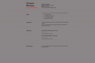 design, format, and layout a professional ms word document