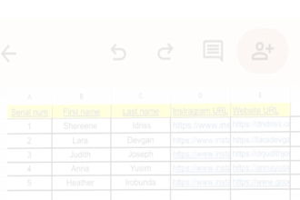 do data entry for buisness and company