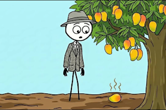make professional stickman videos like zenn, paint explainer