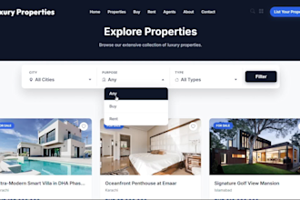 design or redesign a professional website and landing page