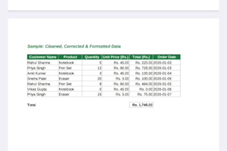 do excel data entry data cleaning and professional formatti