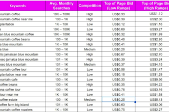setup highly profitable google PPC ads, proper conversion tracking
