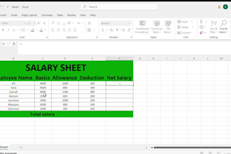 create excel reports salary and profit loss sheets