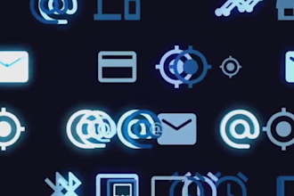 provide professional IT support, network and system services