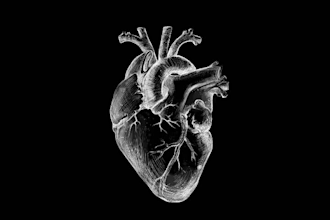 write emotional song lyrics for your song