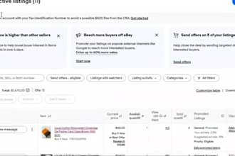 do ebay product listing, ebay SEO listing, ebay lister, product listing