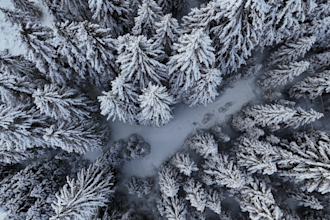 provide premium HD stock footage for content creators