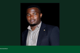 do research,data entry, and translation professionall