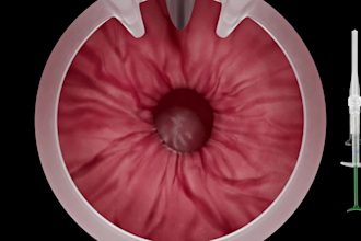 animate surgical procedures for medical training and education