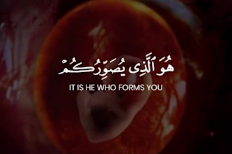 create quran verses videos with subtitles