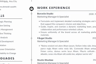 provide professional resume writing, ats based , cover latter service