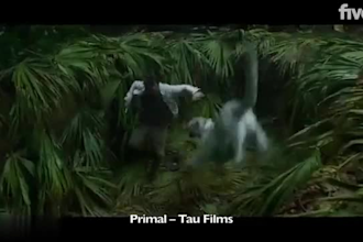 do  realistic 3d animal animation, 3d creature design, animal models, fur, vfx