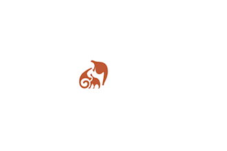craft a cinematic and clean logo animation