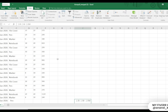 do PDF to excel, data entry and data cleaning with  accuracy