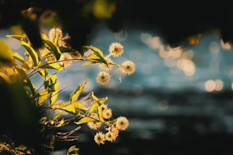 edit an aesthetic short video