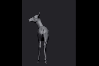 create 3d model rigging 3d animal model with xgen, fur, grooming hair animation