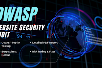 perform owasp top 10 web security audit with detailed PDF