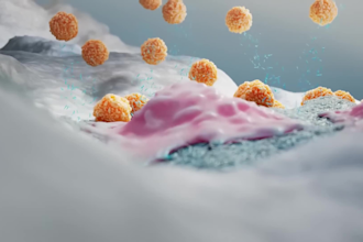 create 3d medical animation drug moa bone remodeling mechanism biomedical video