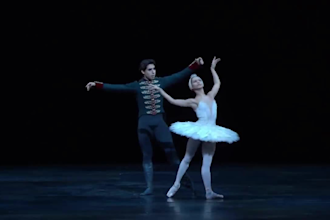 create amazing ballet choreography dance group ballet dance video for your music