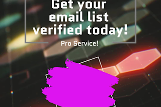 do a professional bulk email verification and validation