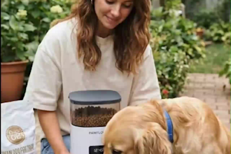 create dog product ugc ads for tiktok and instagram