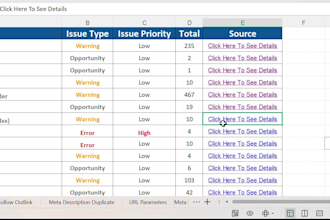 audit the website professionally