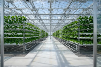 design 3d commercial greenhouse, and hydroponic farm layouts