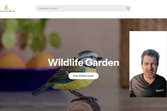 give you a shopify strategy audit and ecommerce consultation