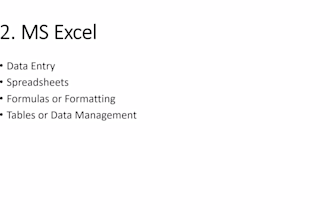do professional ms office