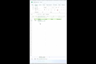 do accurate data entry, excel, copy paste and typing work