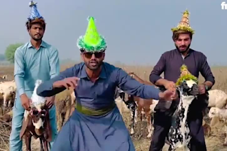 wish african happy birthday video or happy birthday video